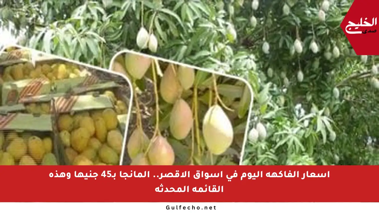 أسعار الفاكهة اليوم في أسواق الأقصر.. المانجا بـ45 جنيها وهذه القائمة المحدثة